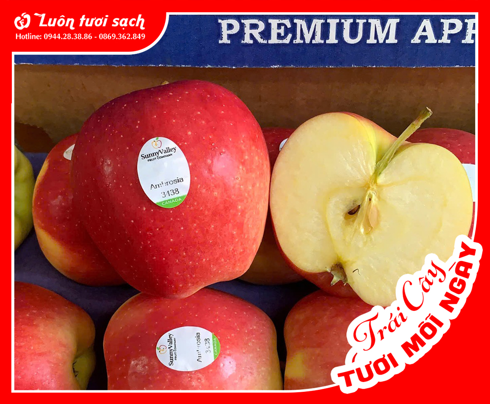  Táo Ambrosia Canada sz 28-32